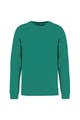 Heren Sweater Ecologische Ecologische NS400 GEMSTONE GREEN